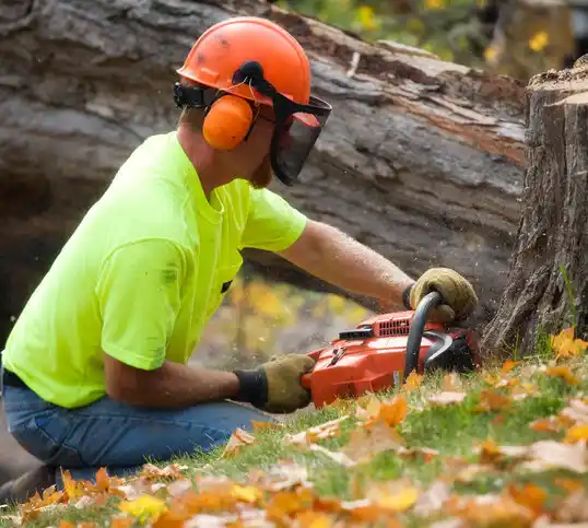 tree services Seaboard